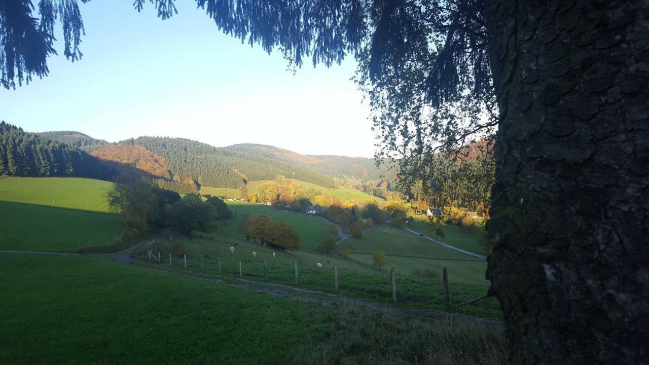 Pension Bergfrieden Schmallenberg Exterior foto